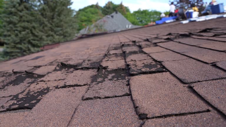 Best Storm Damage Roof Repair  in La Salle, CO